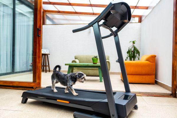 Cost of Treadmill Installation in Mentor