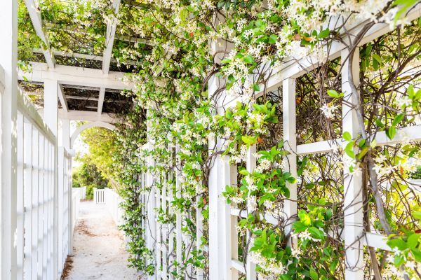 Cost of Trellis Repair in Mentor