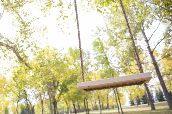 Cost of Tree Swing Installation in Mentor