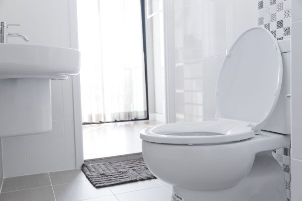Toilet Seat Installation in Mentor