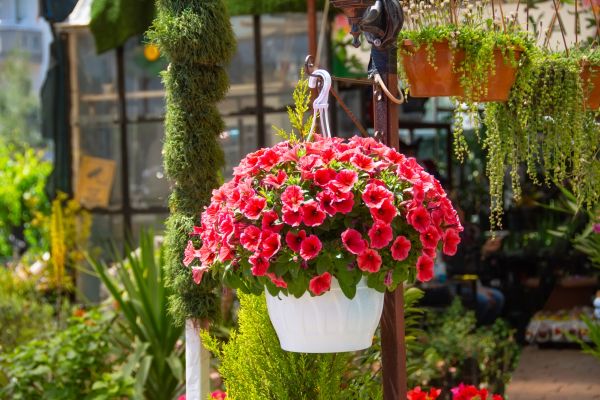 Cost of Hanging Planter Installation in Mentor