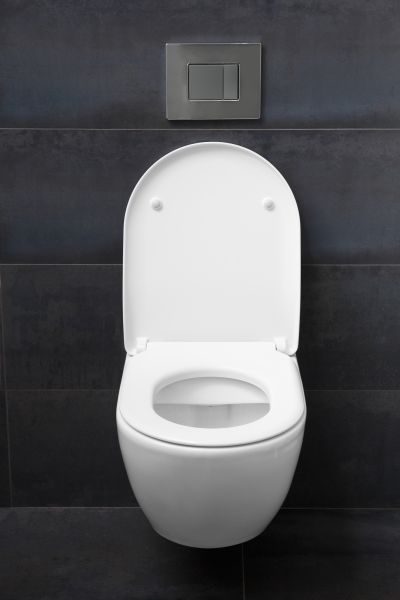 Cost of Toilet Lid Installation in Mentor