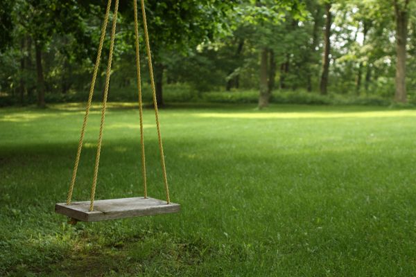 Cost of Rope Swing Installation in Mentor
