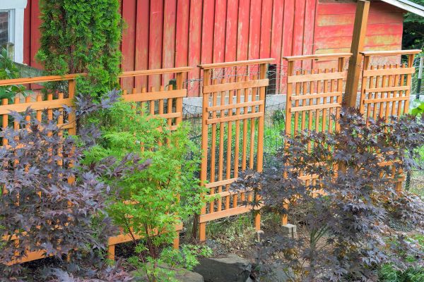 Wood Trellis Mounting in Mentor
