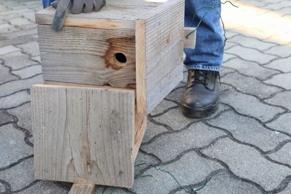 Birdhouse Mounting in Mentor