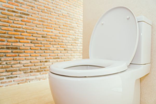 Toilet Seat Repair in Mentor