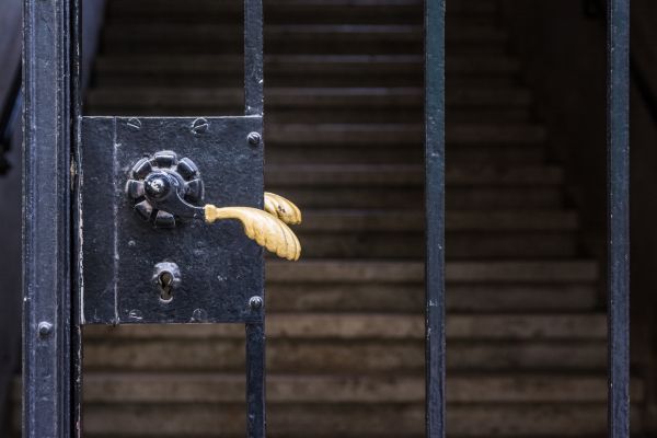 Cost of Gate Handle Replacement in Mentor