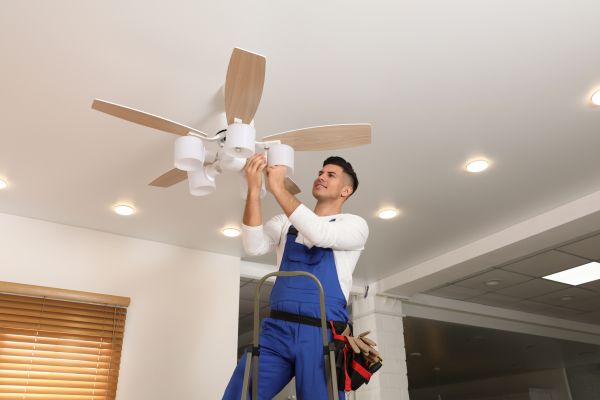 Ceiling Fan Bulb Replacement in Mentor